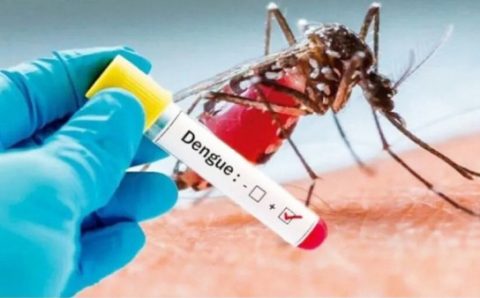 MT:  SAÚDE PÚBLICA:   Com 1,3 mil casos e um óbito, MT já está em alerta para a dengue