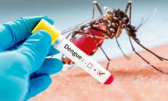 MT:  SAÚDE PÚBLICA:   Com 1,3 mil casos e um óbito, MT já está em alerta para a dengue