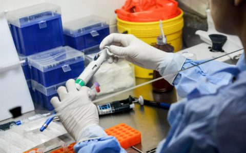 MT:  PANDEMIA EM QUEDA:    Há 10 dias, MT não tem mortes pela Covid; 55 casos em 24h