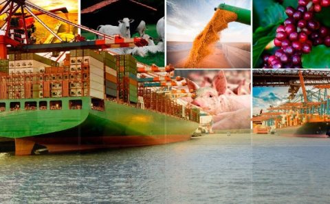 MT:  Exportações do agro fecham com crescimento de 48% e faturamento recorde