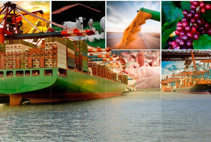 MT:  Exportações do agro fecham com crescimento de 48% e faturamento recorde