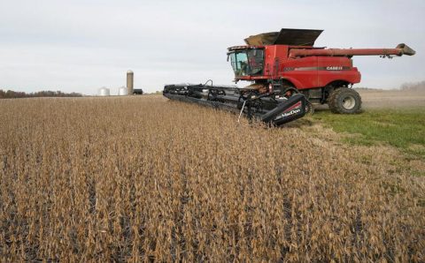 MT:  Colheita de soja vai a 60% da área em MT; Imea está em “alerta” com atraso no milho