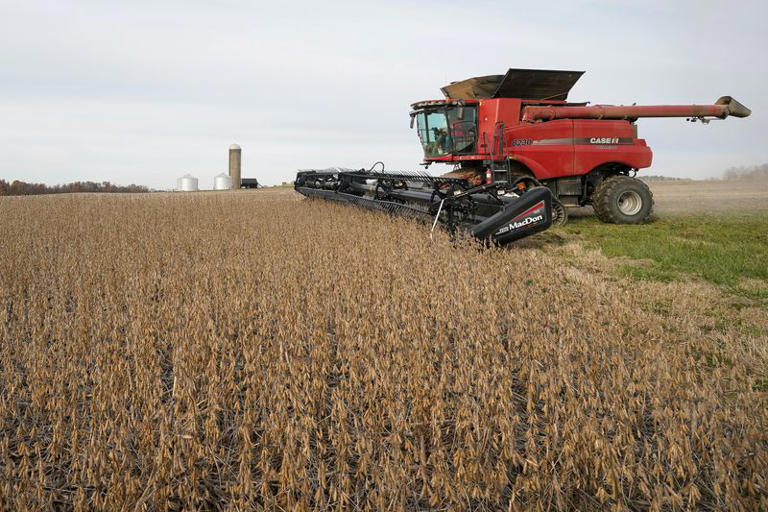 MT:  Colheita de soja vai a 60% da área em MT; Imea está em “alerta” com atraso no milho