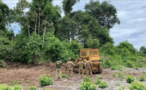Como o antidesmatamento europeu afeta nosso agro?