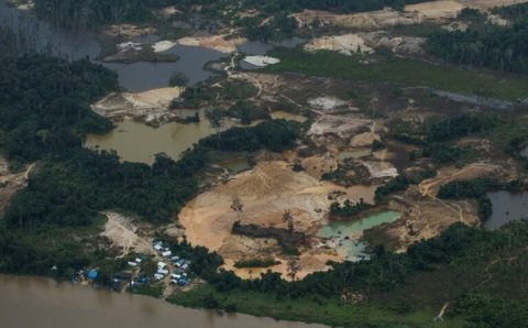 ORGANIZAÇÃO CRIMINOSA:   Operação da PF desmonta esquema bilionário de comércio clandestino de ouro no Brasil