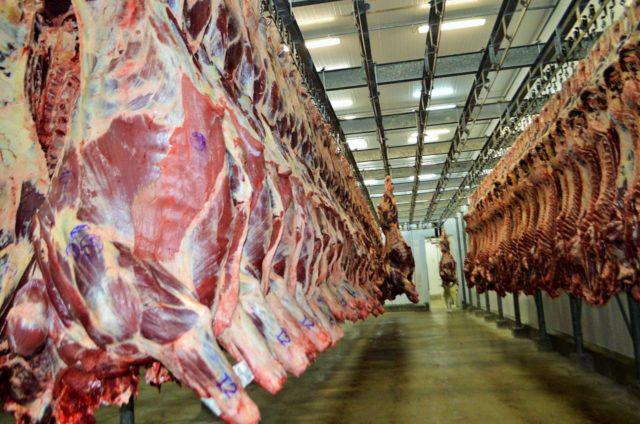 China reabilita frigoríficos brasileiros e movimenta mercado pecuário