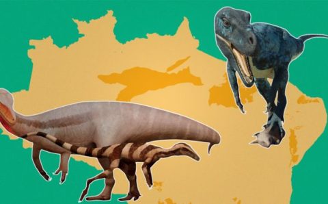 As 6 grandes extinções em massa do planeta — e por que estamos passando por uma delas agora