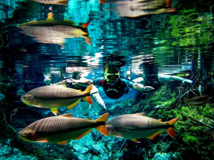 MT:   Empresas de turismo em Mato Grosso recebem incentivos