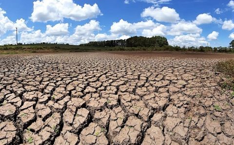 DESMATAMENTO DA AMAZÒNIA TEM TUDO A VER COM ISSO:  Rio Grande do Sul tem terceiro ano de seca e “isso não é normal’, diz professor