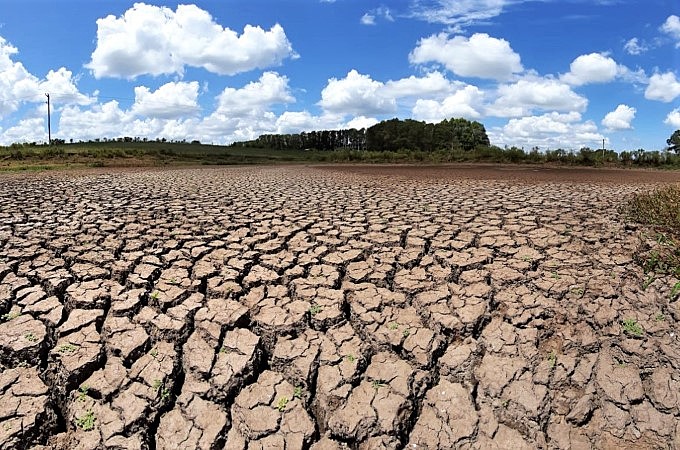 DESMATAMENTO DA AMAZÒNIA TEM TUDO A VER COM ISSO:  Rio Grande do Sul tem terceiro ano de seca e “isso não é normal’, diz professor