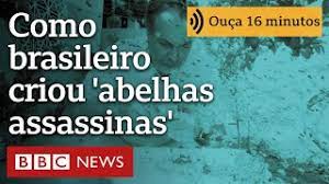 Como brasileiro criou ‘abelhas assassinas’ por acidente e revolucionou a apicultura
