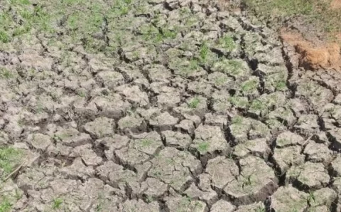 Comitiva vai ao Rio Grande do Sul para ver efeitos da seca