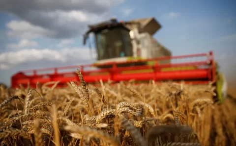 Brasil fica mais perto da autossuficiência em trigo após colheita recorde, afirma Conab