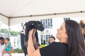Diretoria de Bem-Estar Animal promove Feira de Adoção Voluntária de Pets neste sábado (25)