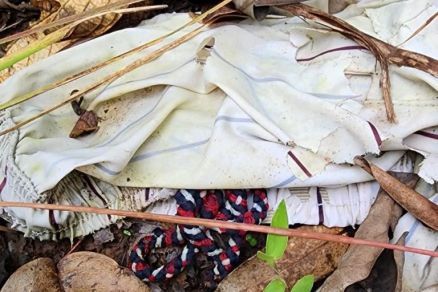 DRAMA FAMILIAR: Polícia acha ossada que pode ser de rapaz que sumiu há 1 ano