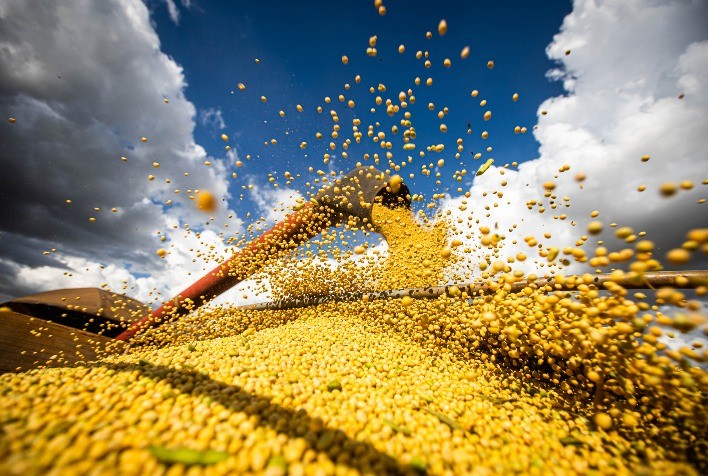 MT:  SOJA: Colheita de soja chega a 88% em Mato Grosso e projeção de produtividade aumenta
