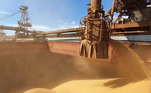 SOJA:  Exportação de soja do Brasil deve avançar 20,5% em março, diz Anec