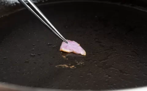 Cientistas da UFMG desenvolvem carne de frango em laboratório