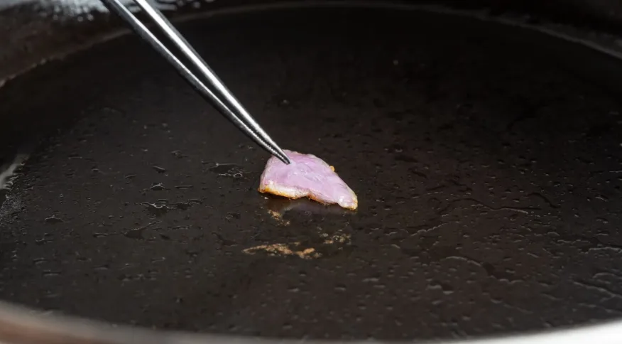 Cientistas da UFMG desenvolvem carne de frango em laboratório