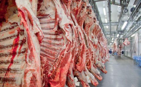 Aumento na produção de carnes deve reduzir preços para o consumidor