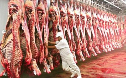 MT:  MERCADO NORTE-AMERICANO:   MT está habilitado a exportar carne bovina para o México