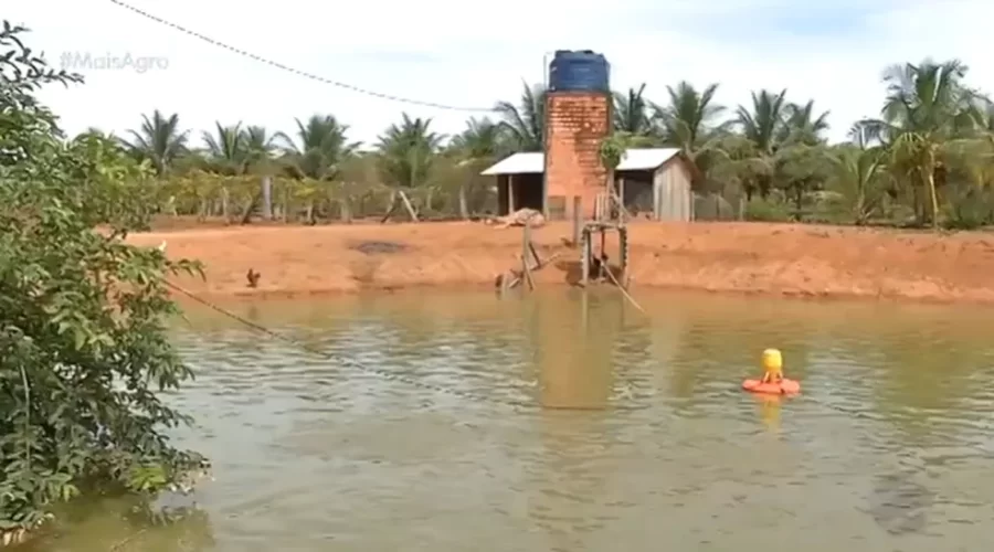MT:  Projeto integra sistema de piscicultura e agricultura irrigada em MT