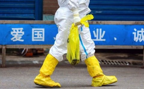 Origem da covid: cientistas chineses publicam dados inéditos