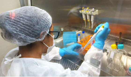 MT:  CENÁRIO DA COVID-19:   Pesquisa Lacen/Friocruz aponta nova subvariante da ômicron em MT