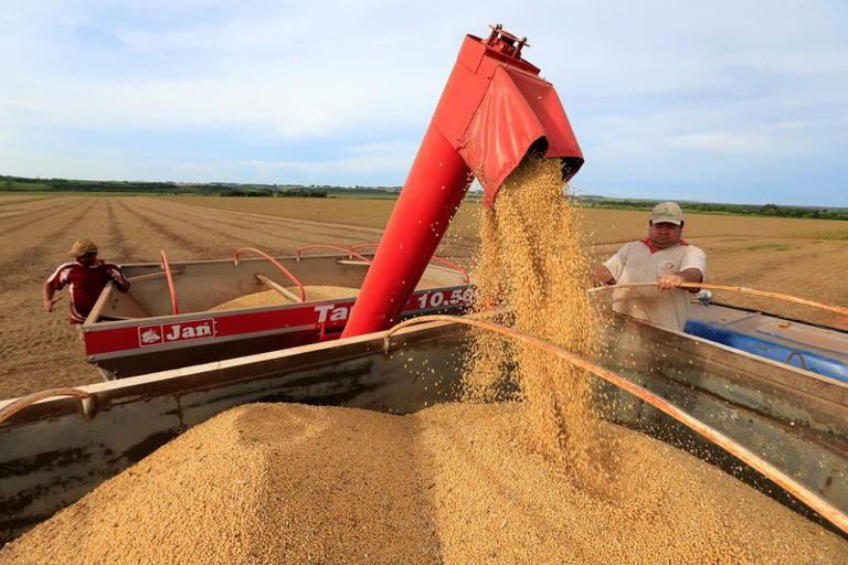 Brasil tem produtividade recorde na soja apesar de seca no RS e recuo em fertilizante