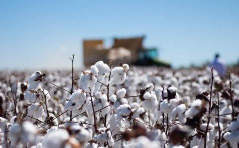 Proder, Proalmat e Prodeic: prazo para entrega de relatório de monitoramento vai até 15 de março