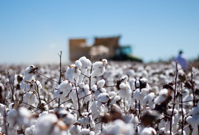 Proder, Proalmat e Prodeic: prazo para entrega de relatório de monitoramento vai até 15 de março