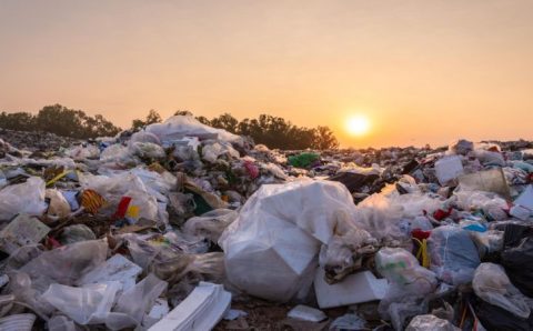 Como poluição está causando crise de fertilidade masculina