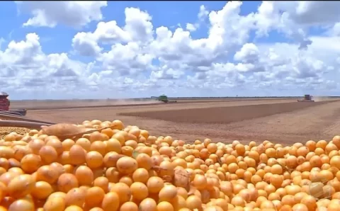 Brasil deve ter safra recorde de 299,7 milhões de toneladas em 2023, estima IBGE