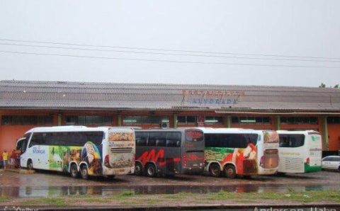 MT:  ÔNIBUS INTERESTADUAL:   TJ cassa liminar que permitia transporte gratuito aos idosos em MT