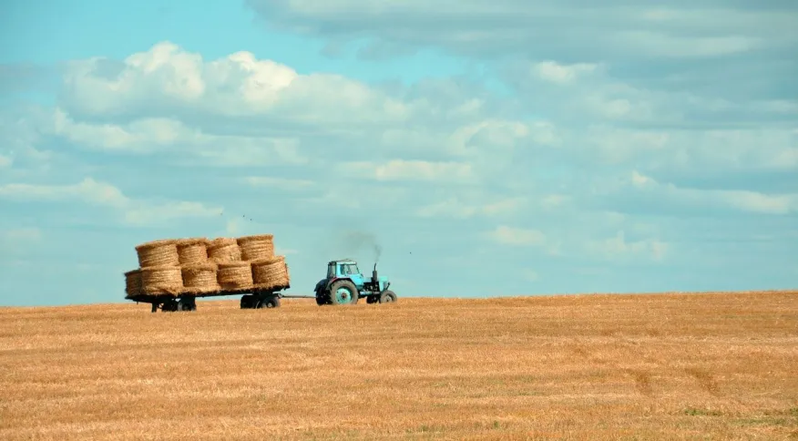 IBGE e Conab esperam avanço da safra, e agro pode melhorar o PIB 2023