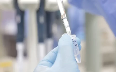 Cientistas avançam no desenvolvimento de tratamento para febre amarela
