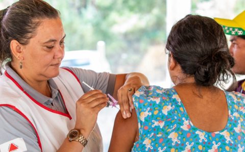 Vacina contra chikungunya obtém bons resultados em fase final de testes em humanos