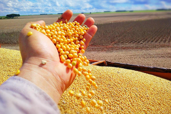 MT:  AGRO:   Exportações mato-grossenses do agro somam US$ 10,84 bilhões em 2023