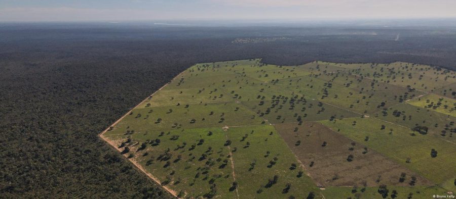 Quase 800 entidades condenam “esquartejamento ambiental”