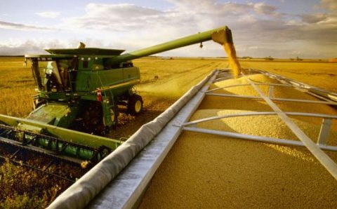 AGRO:   Após longo período de alta, preços têm forte queda no campo