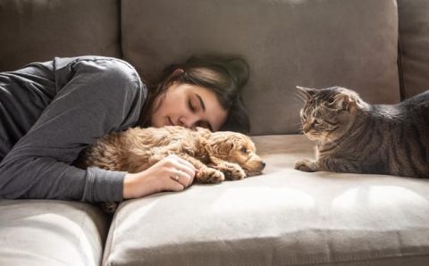 As doenças transmitidas por animais de estimação e 9 dicas para se proteger