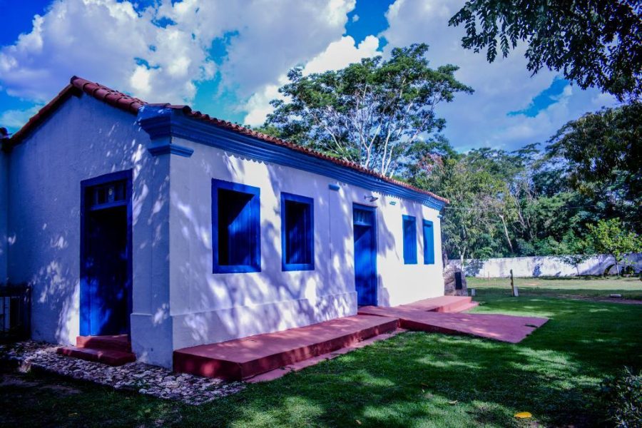 MT:  Museu de História Natural oferece gratuitamente oficinas de artes neste mês