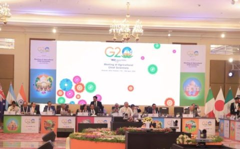 Aumenta o interesse internacional por agricultura sustentável do Brasil