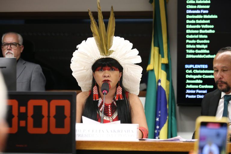 Governo não se empenhou e Congresso ‘rifou’ indígenas em negociação, diz deputada