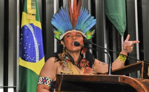 MT:   AÇÃO NO STF:   Ministra de Lula cobra da AGU parecer contrário às obras da Ferrogrão em MT