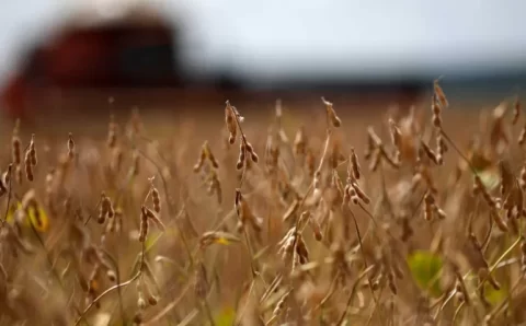 Exportação de soja do Brasil deve cair em maio ante abril, aponta Cargonave