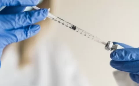 Febre maculosa: proteína do carrapato é alvo de futura vacina