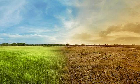 Bilhões de pessoas podem morrer de calor em todo o mundo até 2100