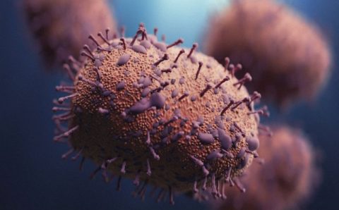 Brasil tem 1ª morte por gripe suína no ano: há perigo de surto da doença?