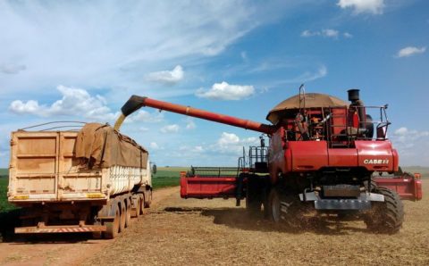 Potência do agro e sertanejo, Centro-Oeste cresce mais que dobro do Brasil e cumpre ‘sonho de JK’